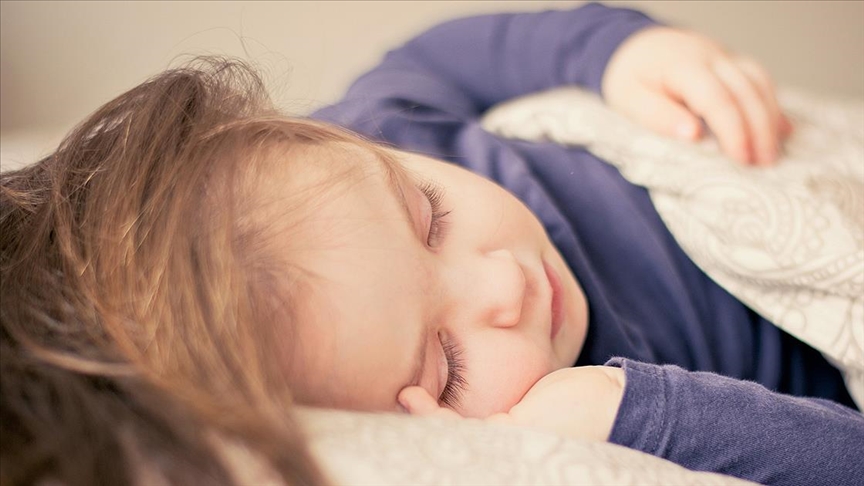 Müfredatımızın serencamı