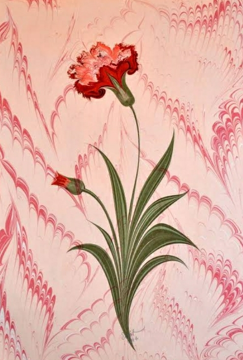 Ona da mı Kıydınız?